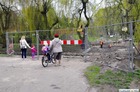 5 kwietnia 2017 r.