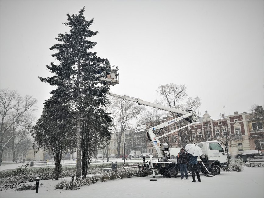 W tym roku zdobiony jest świerk na Placu Wolności.