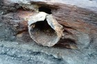 Metalowe łączenie elementów wodociągu