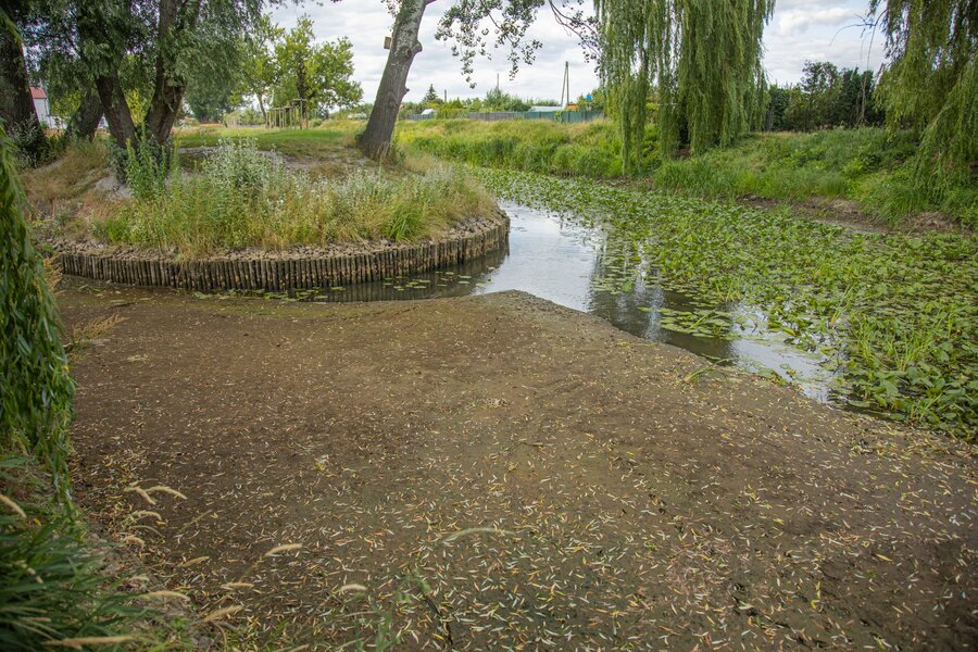 W tym roku poziom wody jest równie niski jak podczas ostatniej przyduchy. 