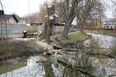 Pielęgnacja i wycinka 