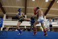 Amatorska Liga Knockout Art 