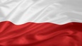 Uroczystości, pokazy i koncerty 