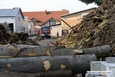 Pożar w tartaku