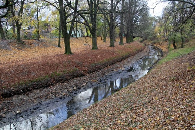 Fot. Paweł Sałacki