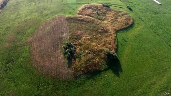 Średniowieczne grodziska w Bonikowie i Kurzej Górze.