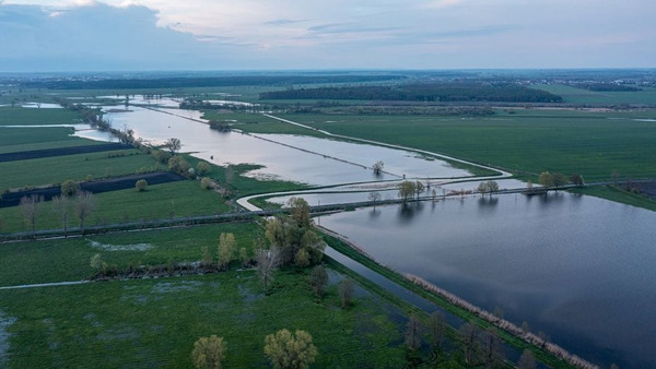 Kłopot czy stan pożądany? 