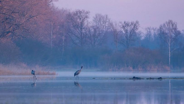 Przedwiośnie na podkościańskich lasach i łąkach