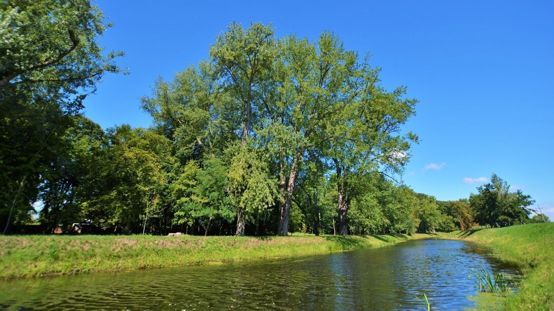 Widok na park miejski w Kościanie