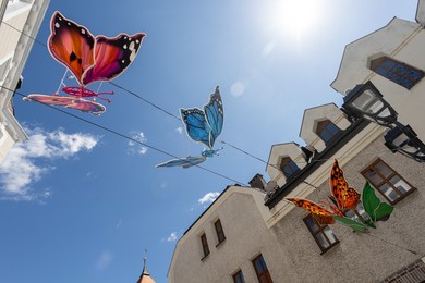 Neonowe motyle na deptaku