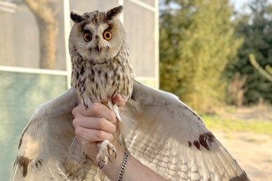 Potrzebują wsparcia. Codziennie przyjmują ponad 20 dzikich zwierząt