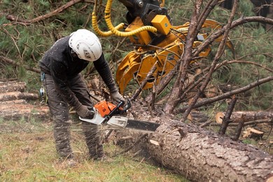 Rusza wycinka lasu pod obwodnicę Kościana