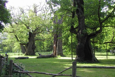 Kopaszewo zaprasza na spotkanie z nauką, naturą i historią