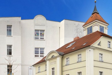 W lutym o sowach i kościańskim mauzoleum 