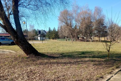 Posadzą ćwierć tysiąca drzew, krzewów i bylin  