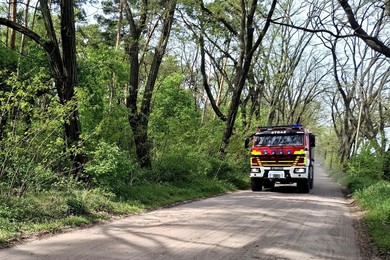 Kościańskie lasy:  duże ryzyko pożarów
