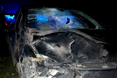 Zderzyła się ze zwierzyną leśną. Auto zostało poważnie uszkodzone