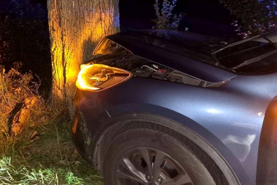 Ford uderzył w drzewo. Kierowca próbował ominąć dzika 